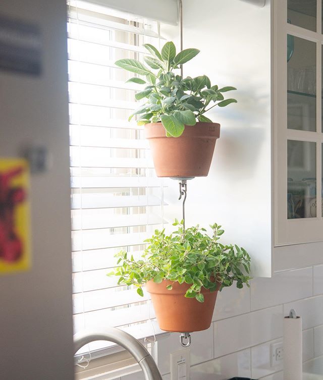 Vertical Garden Ideas: Hanging Clay Pots for Your Plants -   16 plants Art window ideas