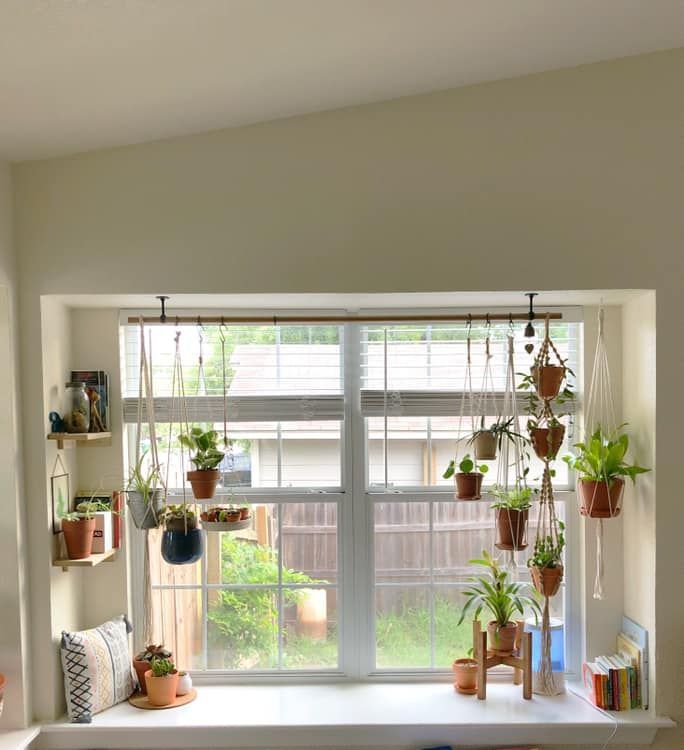 16 plants Art window ideas