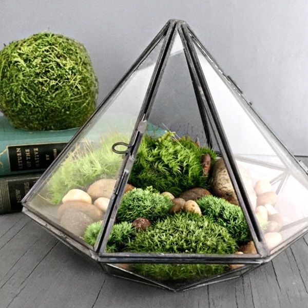 Geometric Glass Diamond Terrarium with Plants -   16 plants Decor glass ideas