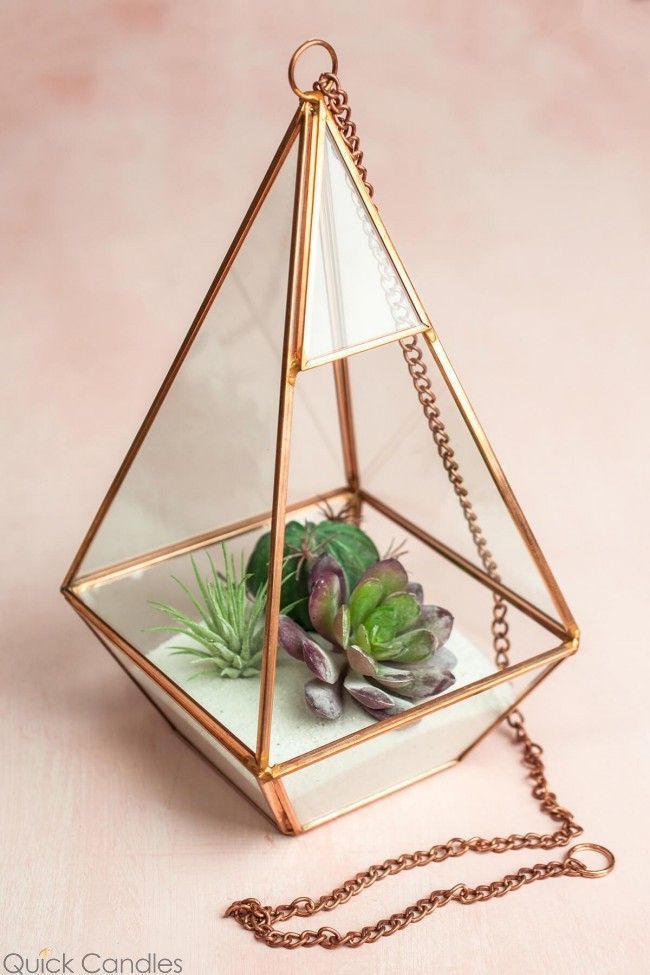 16 plants Decor glass ideas