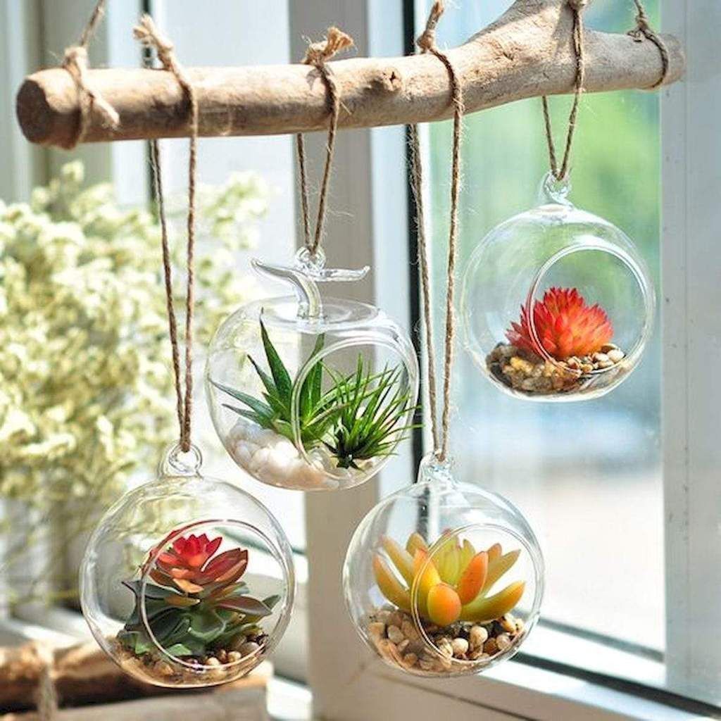 Best DIY Hanging Glass Ball Terrariums - Create the Look -   16 plants Decor glass ideas