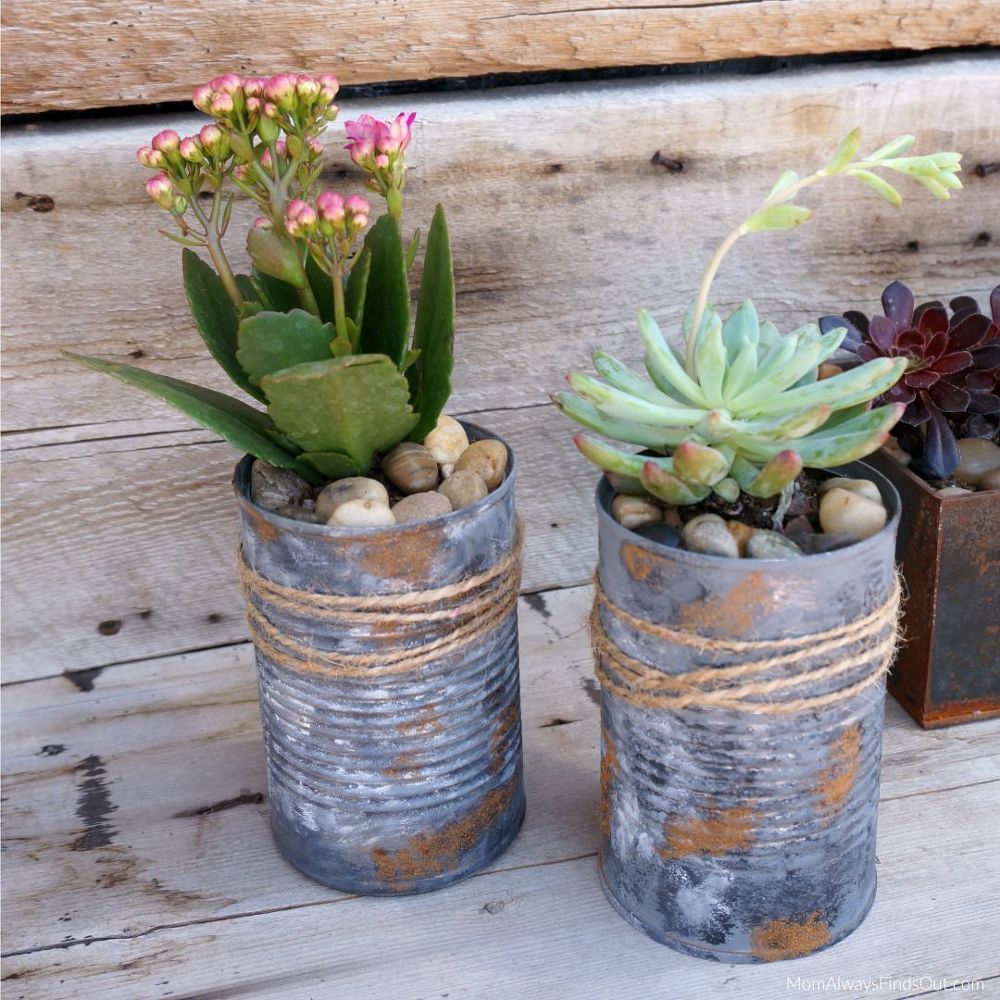 15 cute ways to turn tin cans into planters -   16 plants Painting tin cans ideas