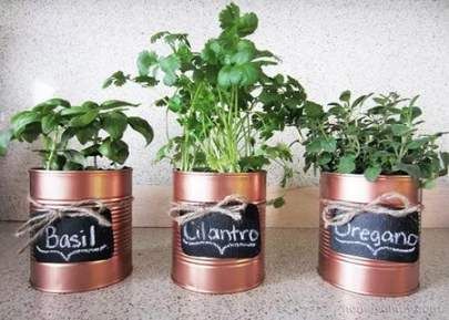 16 plants Painting tin cans ideas
