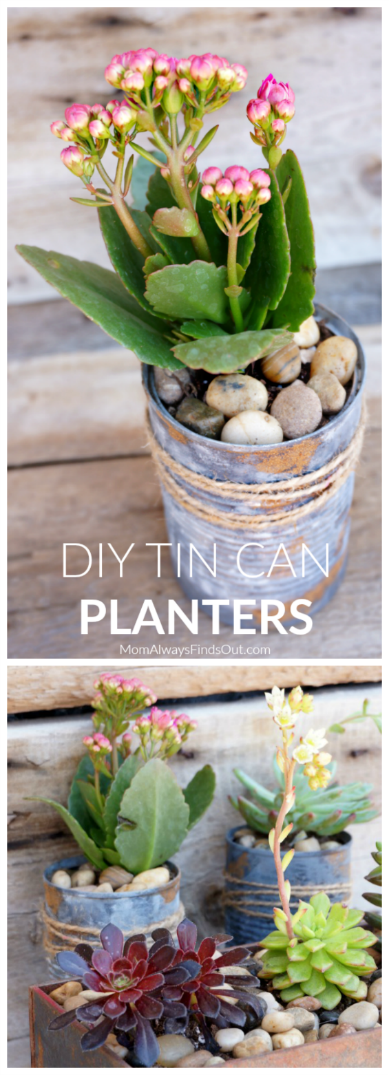 DIY Tin Can Planters Perfect For Succulents, Small Plants, and Flowers -   16 plants Painting tin cans ideas