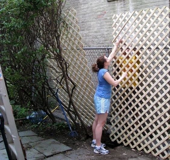 47 Cheap And Easy Backyard And Garden Upgrades That Are Pure Genius -   17 garden design Fence chain links ideas