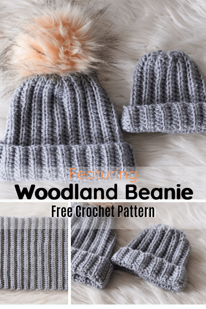Easy And Quick Crochet Ribbed Beanie Hat Pattern - Knit And Crochet Daily -   17 knitting and crochet Hats winter ideas