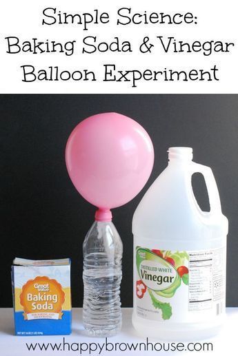 18 diy projects To Try science experiments ideas