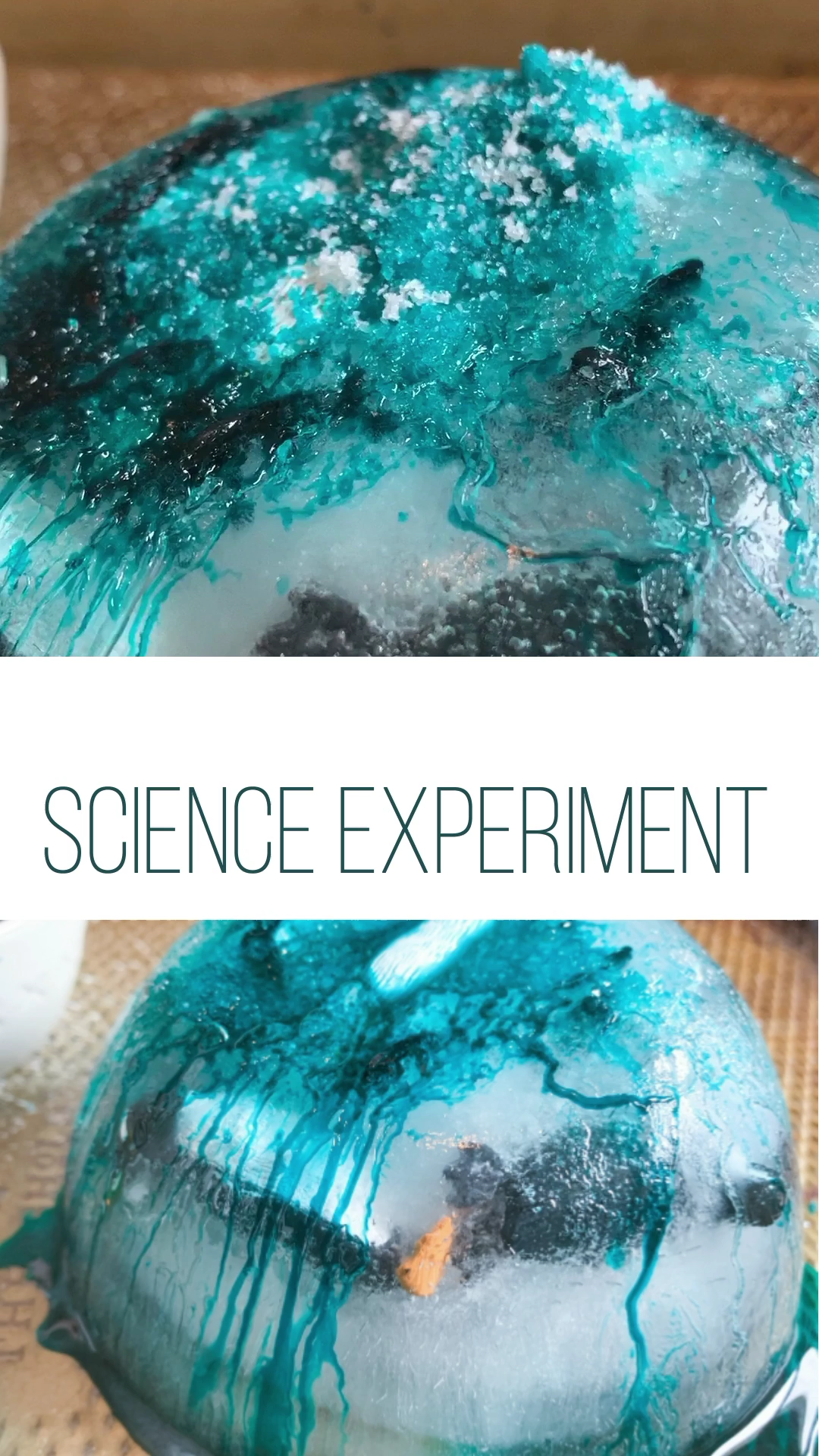 Salt & Ice Melt Science Experiment: Frozen Penguins -   18 diy projects To Try science experiments ideas