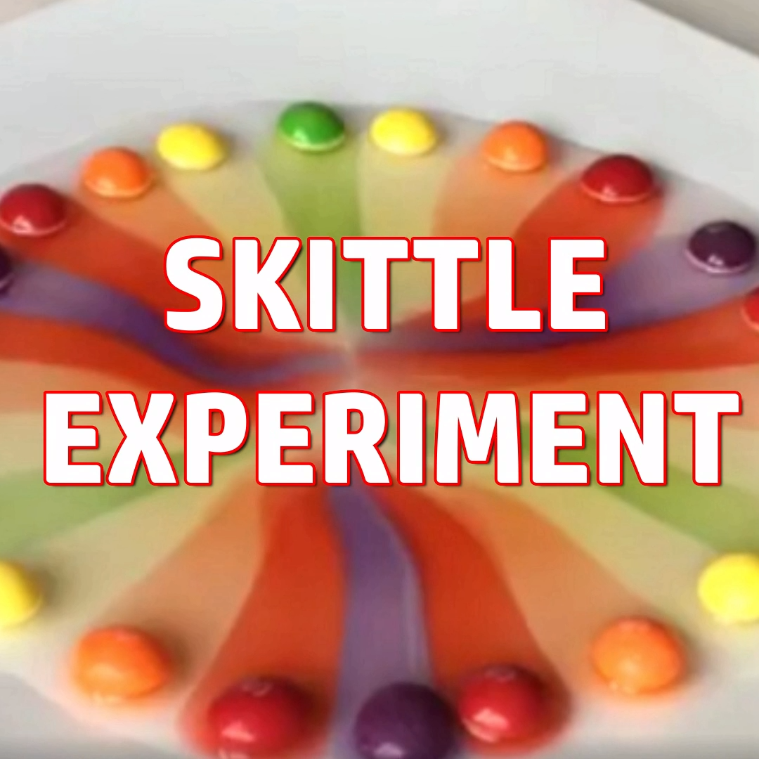 Skittle Science Experiment -   18 diy projects To Try science experiments ideas