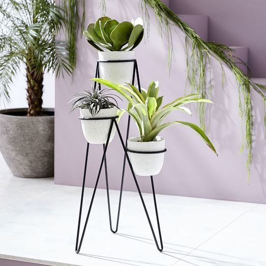 18 pidestall plants Stand ideas