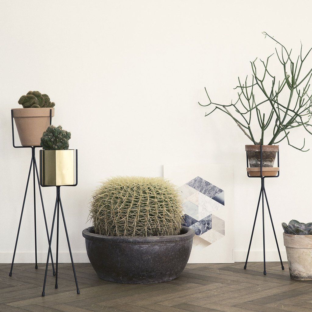 Plant Stand -   18 pidestall plants Stand ideas