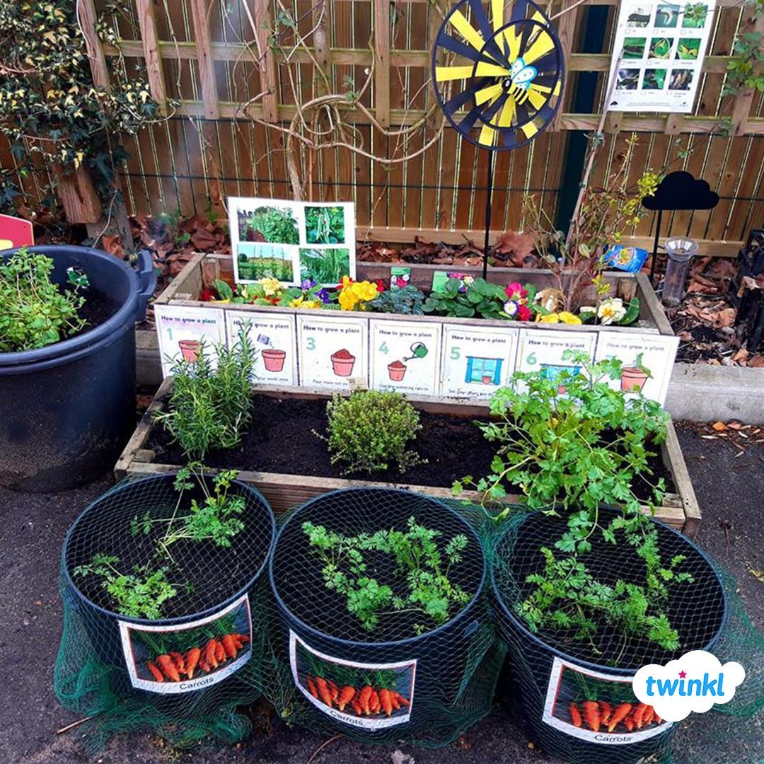 Outdoor Learning: Early Years Garden Area. -   6 planting Flowers eyfs ideas