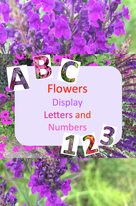 Flowers Display Letters and Numbers -   6 planting Flowers eyfs ideas