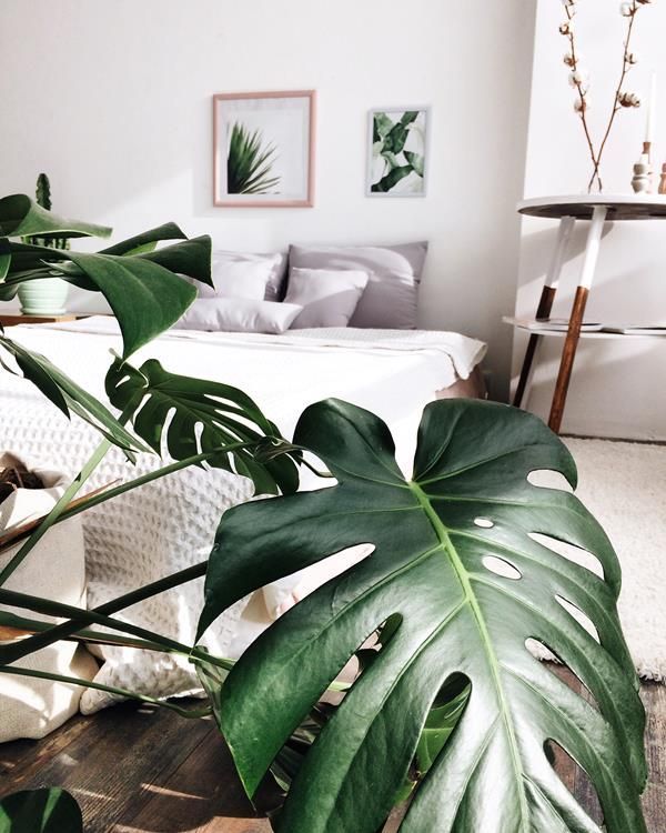 9 planting Interior bedroom ideas
