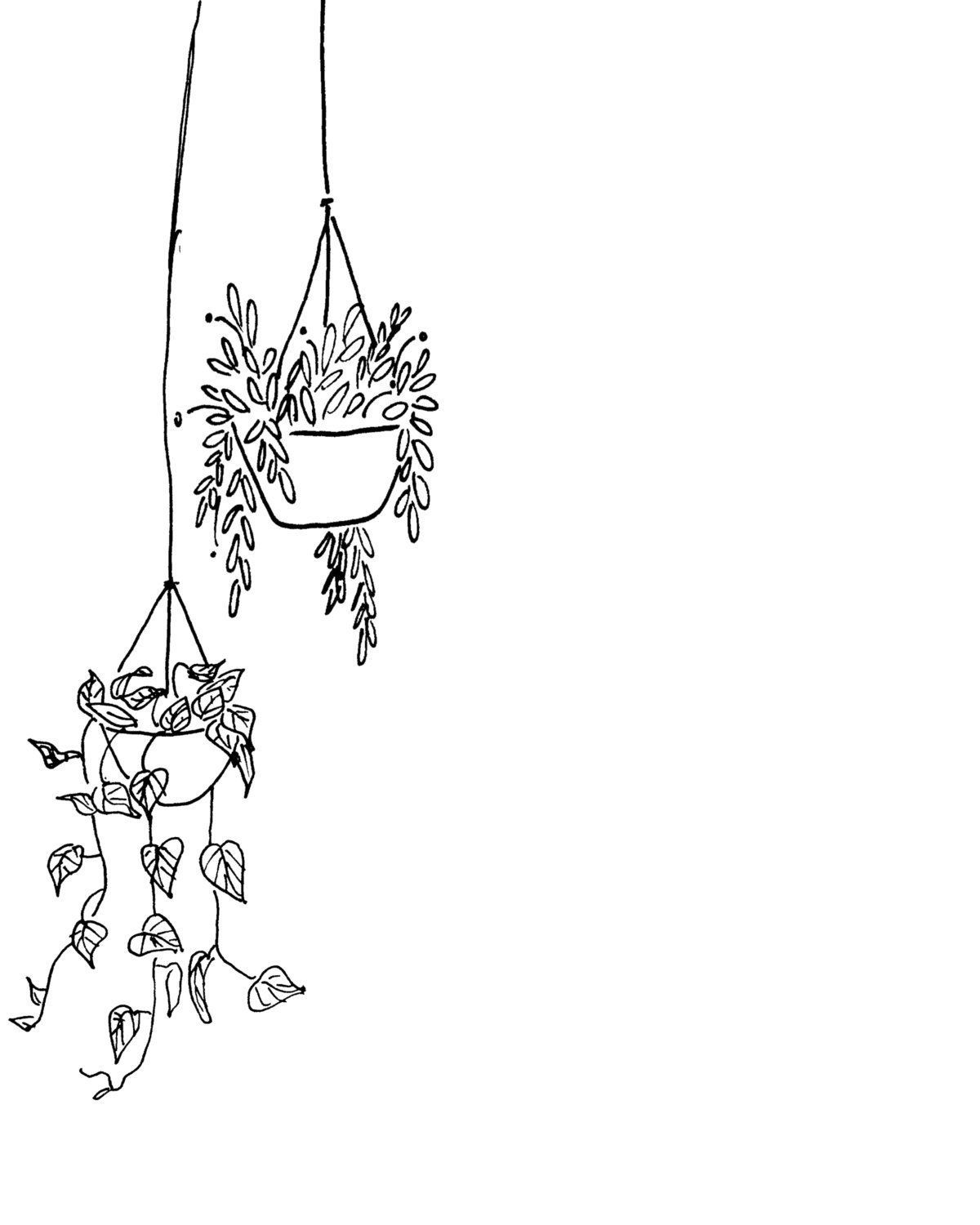Black and White Hanging Plants Printable | Instant Digital Download -   11 plants Art sketch ideas