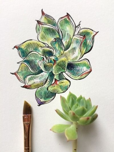 11 plants Art sketch ideas