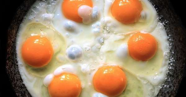 What Happens to Your Body When You Eat Egg Protein -   12 diet Egg protein ideas