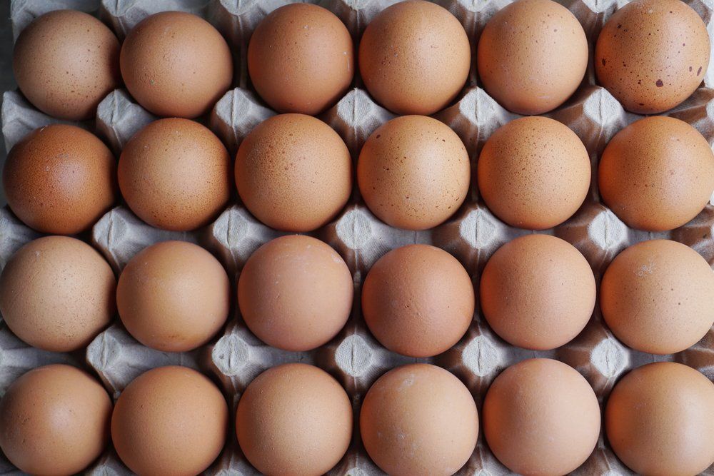 14 Foods That Have More Protein Than an Egg -   12 diet Egg protein ideas