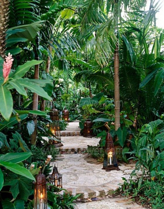 Mesmerizing Tropical Backyard Ideas to Freshen Your Outdoor Space | DecorTrendy -   14 garden design Tropical backyards ideas