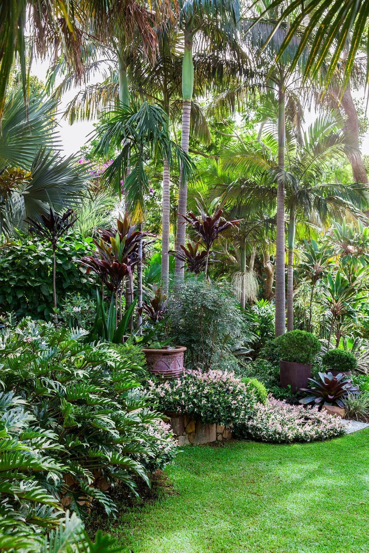 9 Australian tropical gardens -   14 garden design Tropical backyards ideas