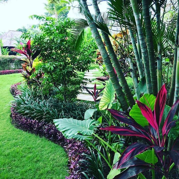 Tropical Garden Landscape Design (Tropical Garden Landscape Design) design ideas and photos, ... -   14 garden design Tropical backyards ideas