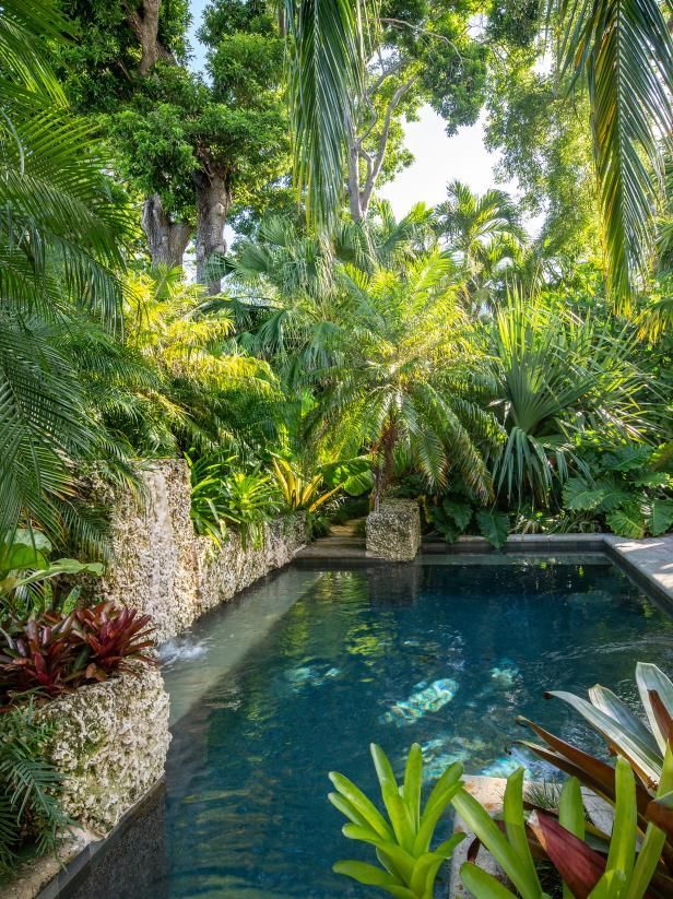 Outdoor Oasis: Tropical Backyard Garden -   14 garden design Tropical backyards ideas