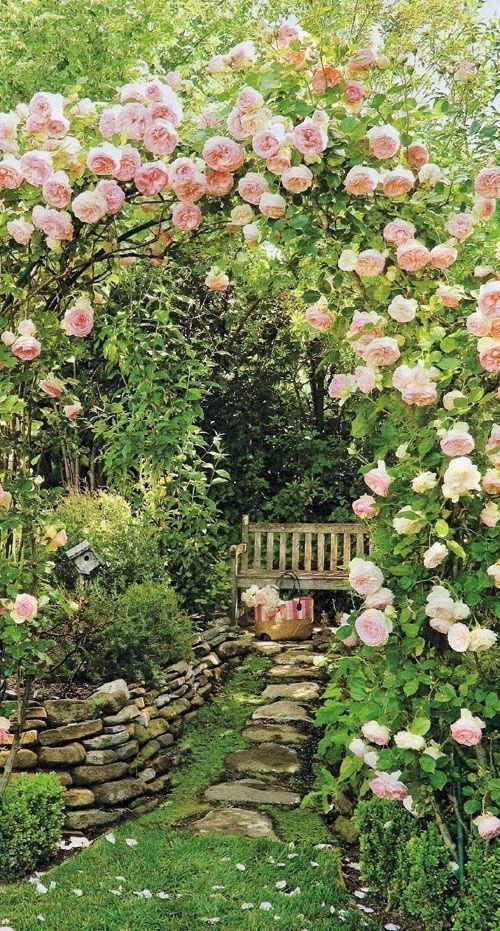Gardens of My Dreams | Romantic Backyard Garden Ideas - hydrangea treehouse -   14 garden design Tropical backyards ideas