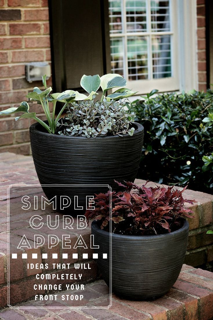 Spring Curb Appeal - Chanel Moving Forward -   14 planting Outdoor curb appeal ideas