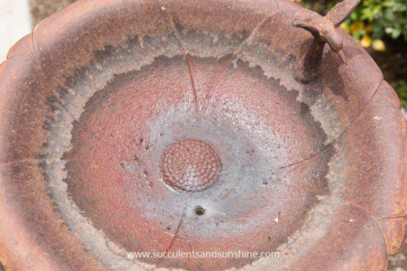 How to Plant Succulents in a Bird Bath -   14 planting succulents in a birdbath ideas