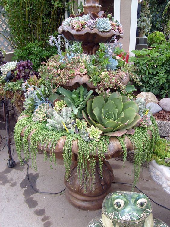 Top Diy Water Fountain Ideas And Projects - Craft Keep -   14 planting succulents in a birdbath ideas