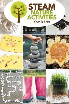 Awesome STEAM Nature Activities for Kids -   15 plants For Kids website ideas