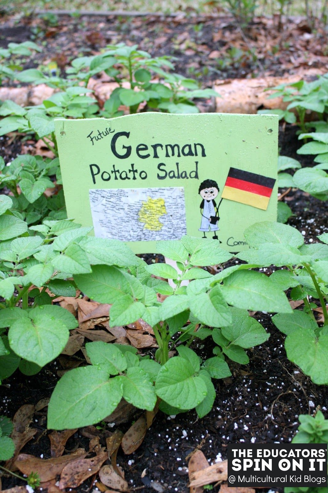 Global Gardening Connections - Multicultural Kid Blogs -   15 plants For Kids website ideas