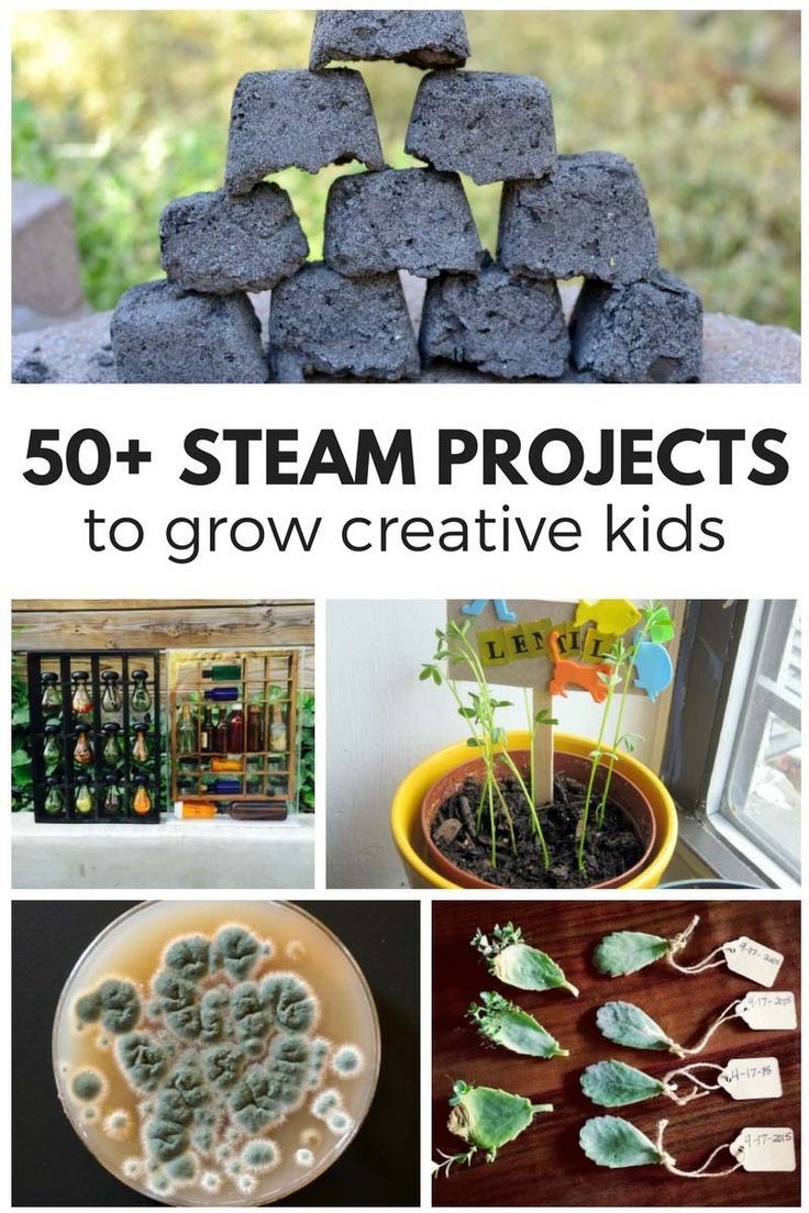 52 Weeks of STEAM Activities for Kids -   15 plants For Kids website ideas