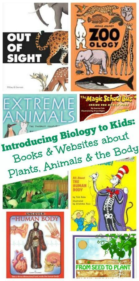 Science for Kids:  Books & Websites for Biology Projects -   15 plants For Kids website ideas