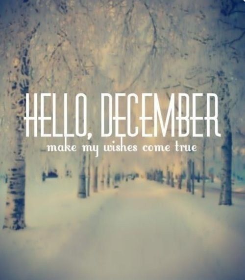 december ba names lovemotivation december -   15 welcome holiday Quotes ideas