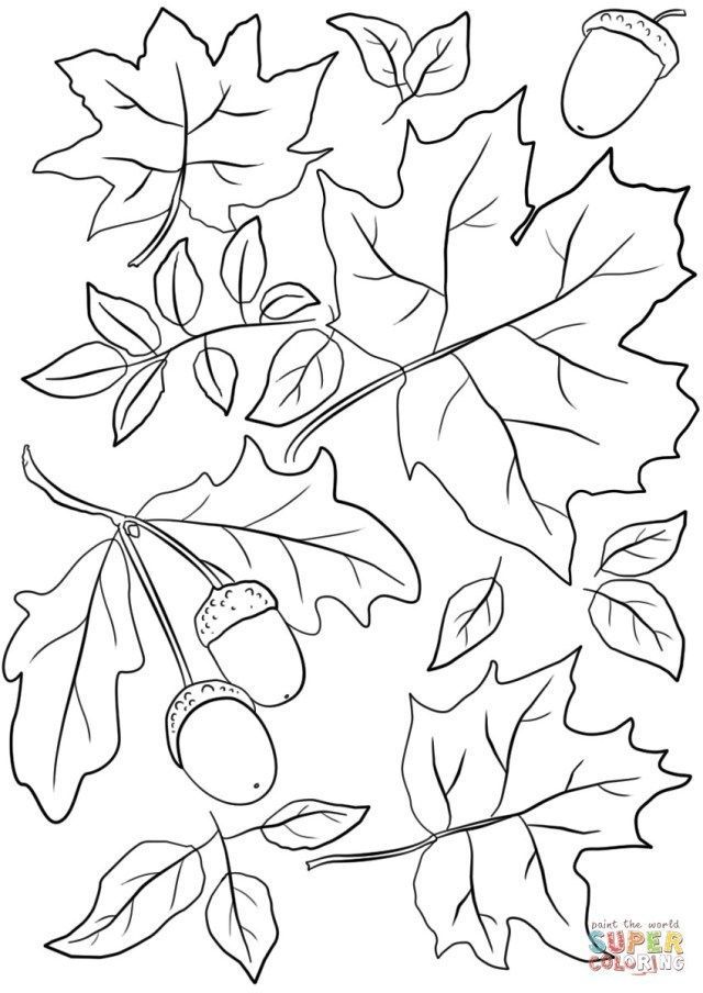 21+ Awesome Image of Fall Leaves Coloring Pages - entitlementtrap.com -   16 holiday Images coloring pages ideas