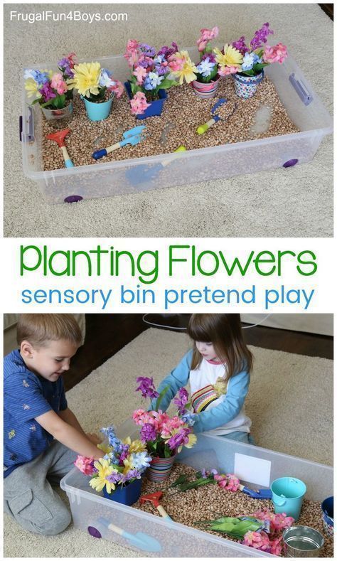 16 plants Flowers preschool ideas