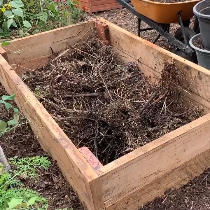 How to fill a raised bed for under $10 -   18 plants Growing raised beds ideas