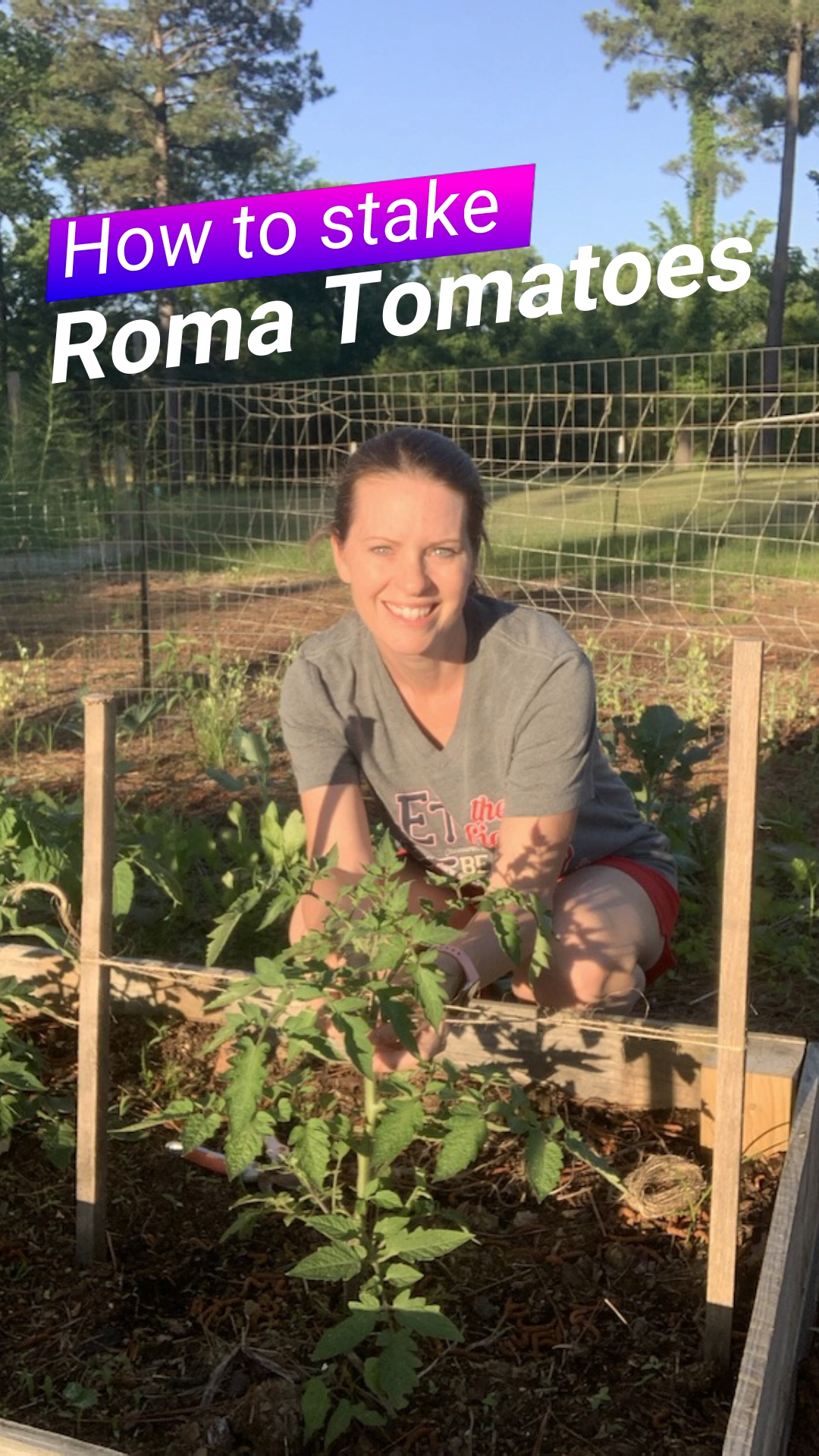 How to Stake Roma Tomatoes -   18 plants Growing raised beds ideas