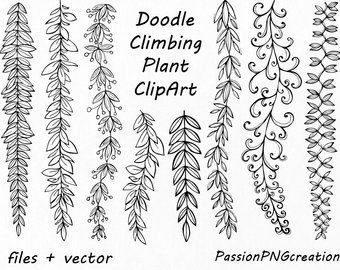Hand Drawn Herbs Clipart, Leaves clip art, Herbs Silhouette, PNG, EPS, AI, Vector, Laurel Clipart, Personal and Commercial Use -   9 climbing plants Png ideas
