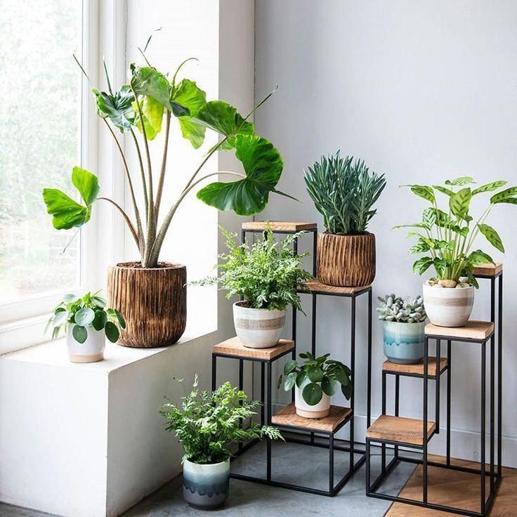 9 plants Interieur bedroom ideas
