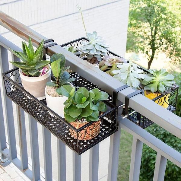 Glass Terrarium Tabletop Planter -   10 plants balcony ideas