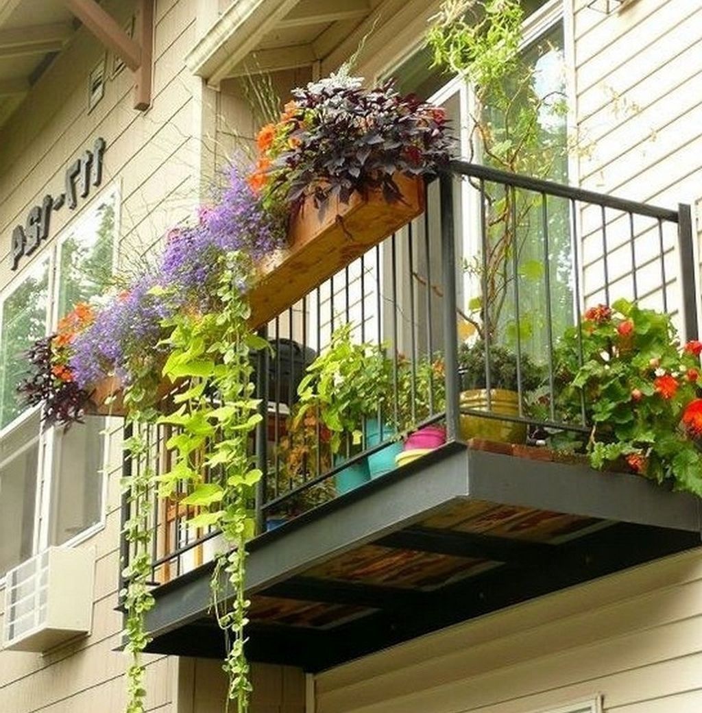41 Pretty Plants Ideas For Your Balcony To Copy Asap -   10 plants balcony ideas