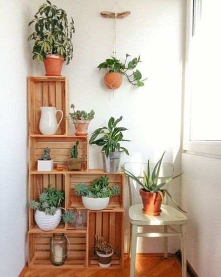 10 plants balcony ideas