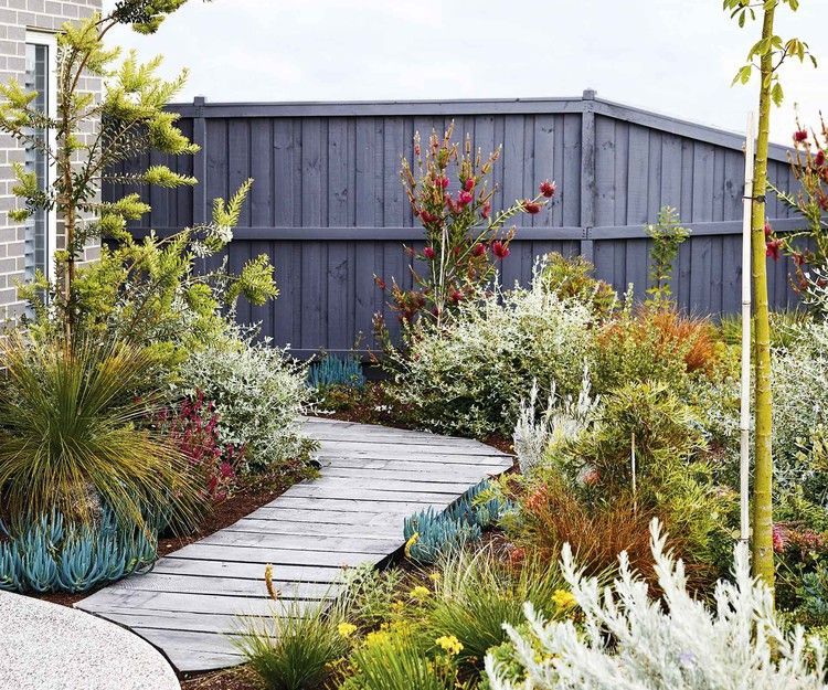 An easy-care coastal garden in Torquay with colourful plants — Homes to Love -   13 plants Beautiful colour ideas