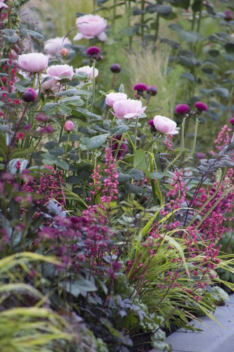 Choose a colour for your planting palette tips from Jo anne -   13 plants Beautiful colour ideas