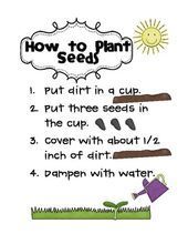 Earth Day Plant Journal Free -   16 plants Kindergarten earth day ideas