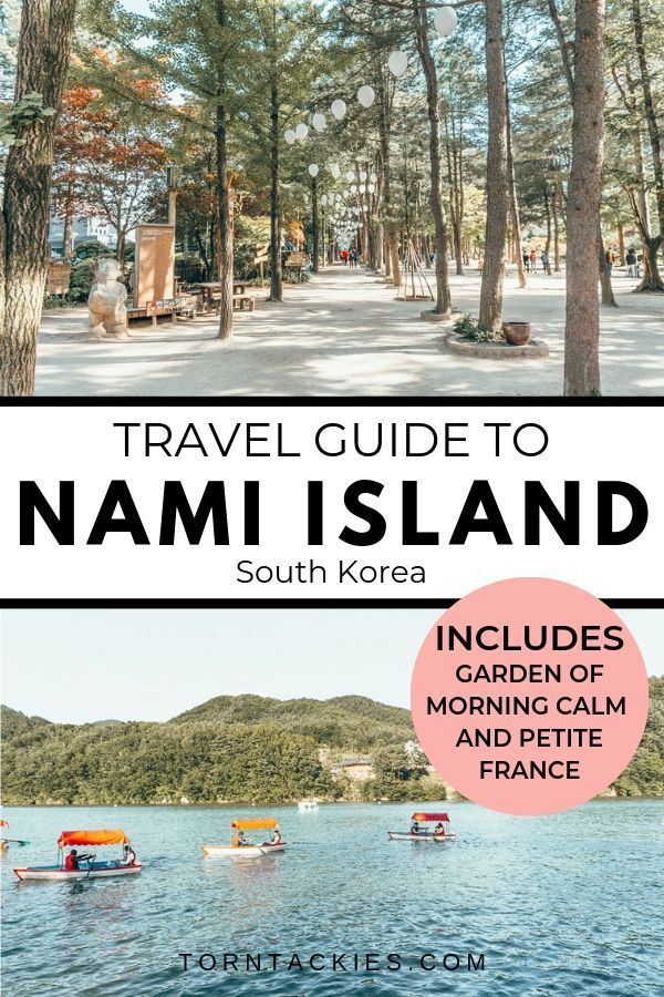 Travel guide to Nami Island in Korea | Things to do near Seoul -   17 travel destinations Asia life ideas