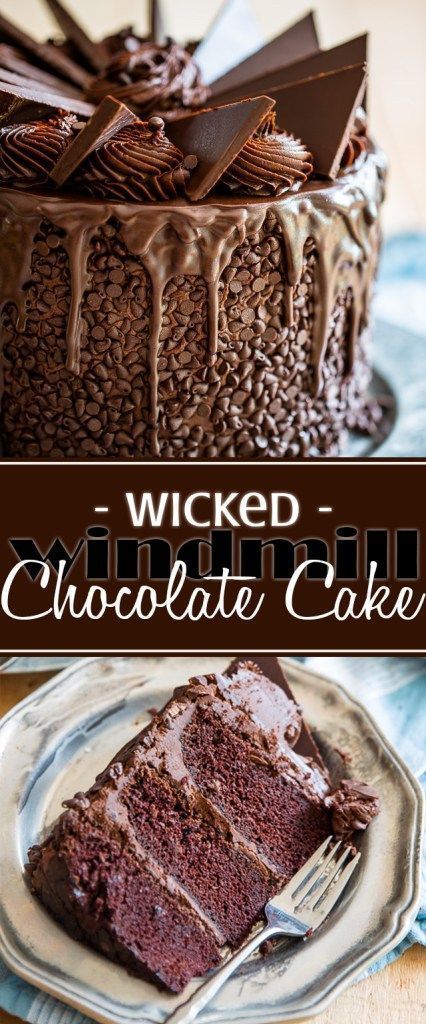 Wicked Windmill Chocolate Cake -   18 cake Chocolate recette ideas