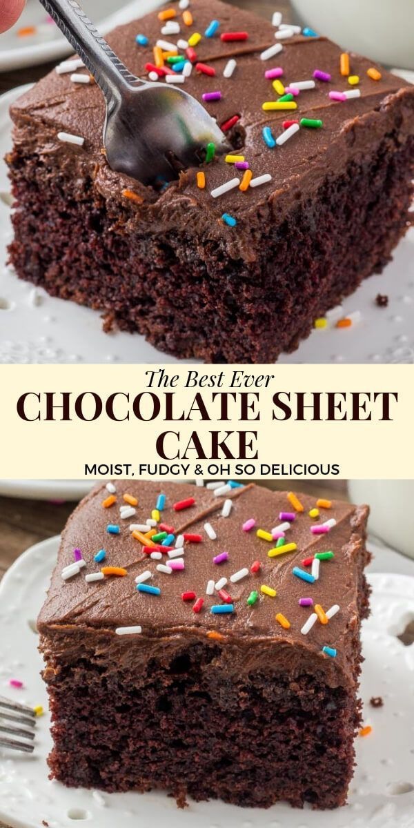 Chocolate Sheet Cake -   18 cake Chocolate recette ideas